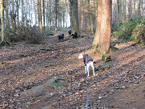 January 2017 Photo 2